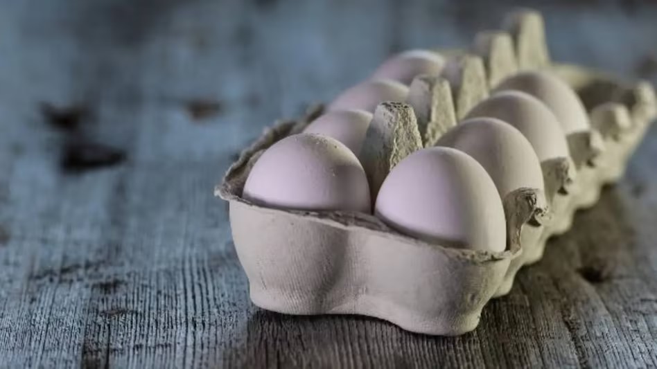 Low Cholesterol Egg