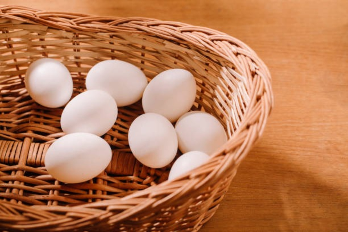 Low Cholesterol Egg