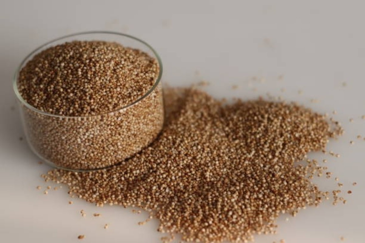 Millet Farming In Kharif Season