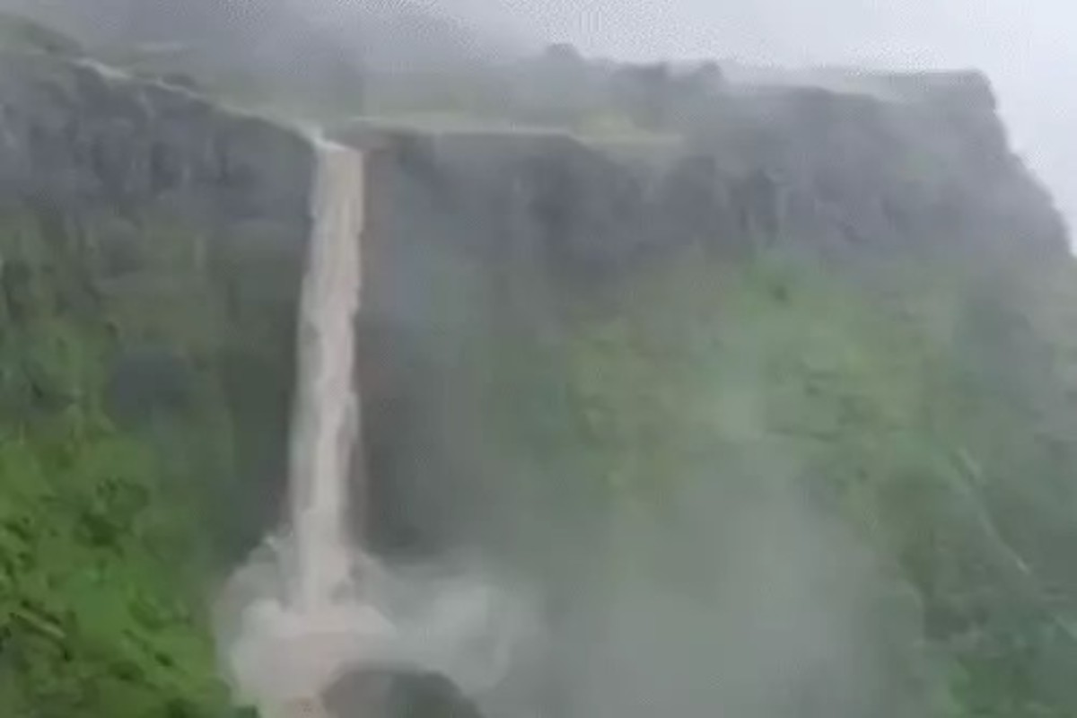 Monsoon Nature Beauty In Gujarat