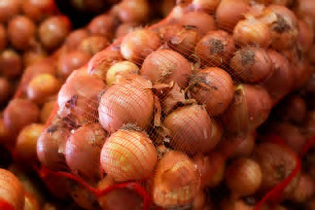 Onion Storage Tips