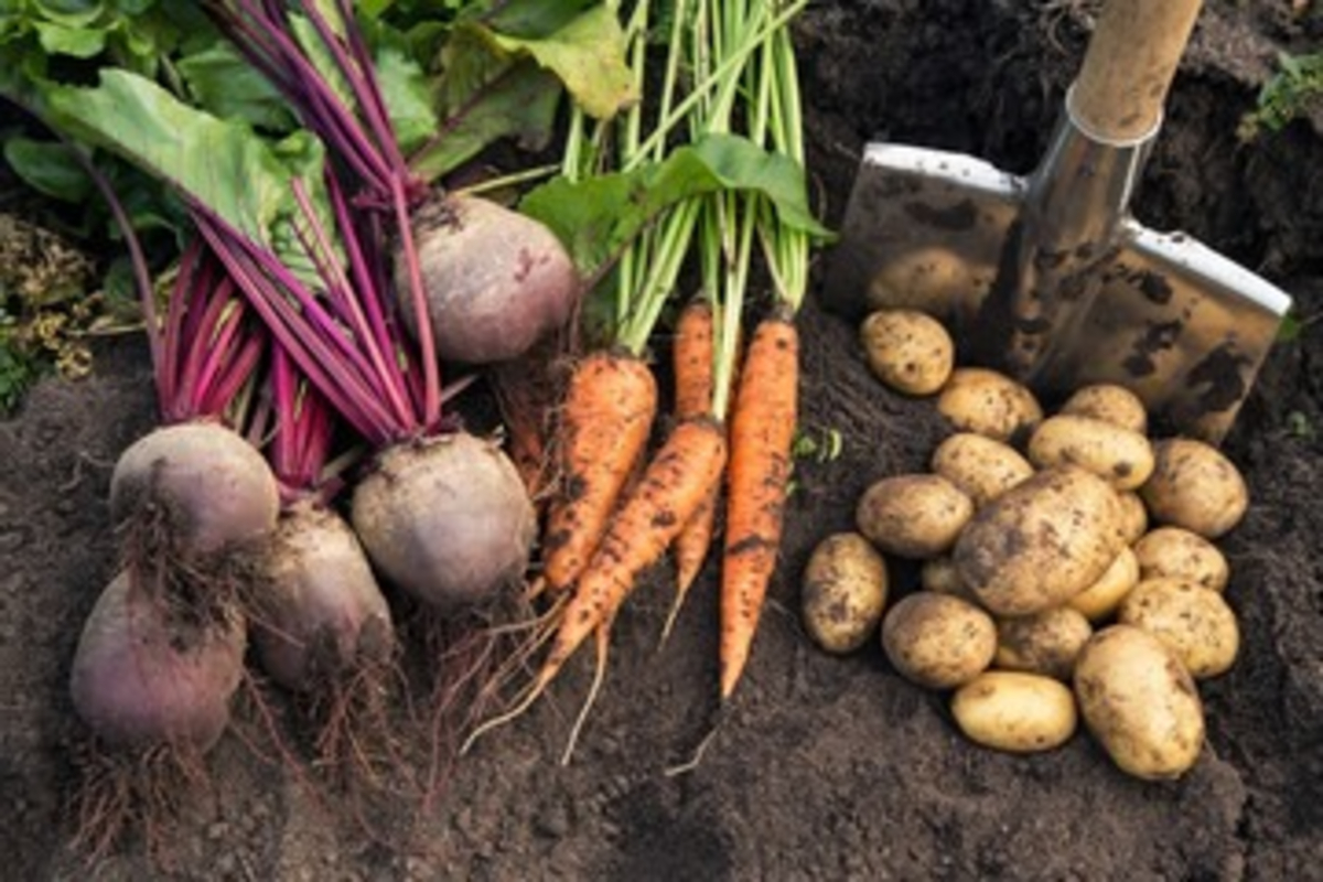 Organic Farming Guide