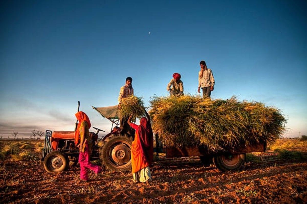 Pm Kisan 20Th Installment Date