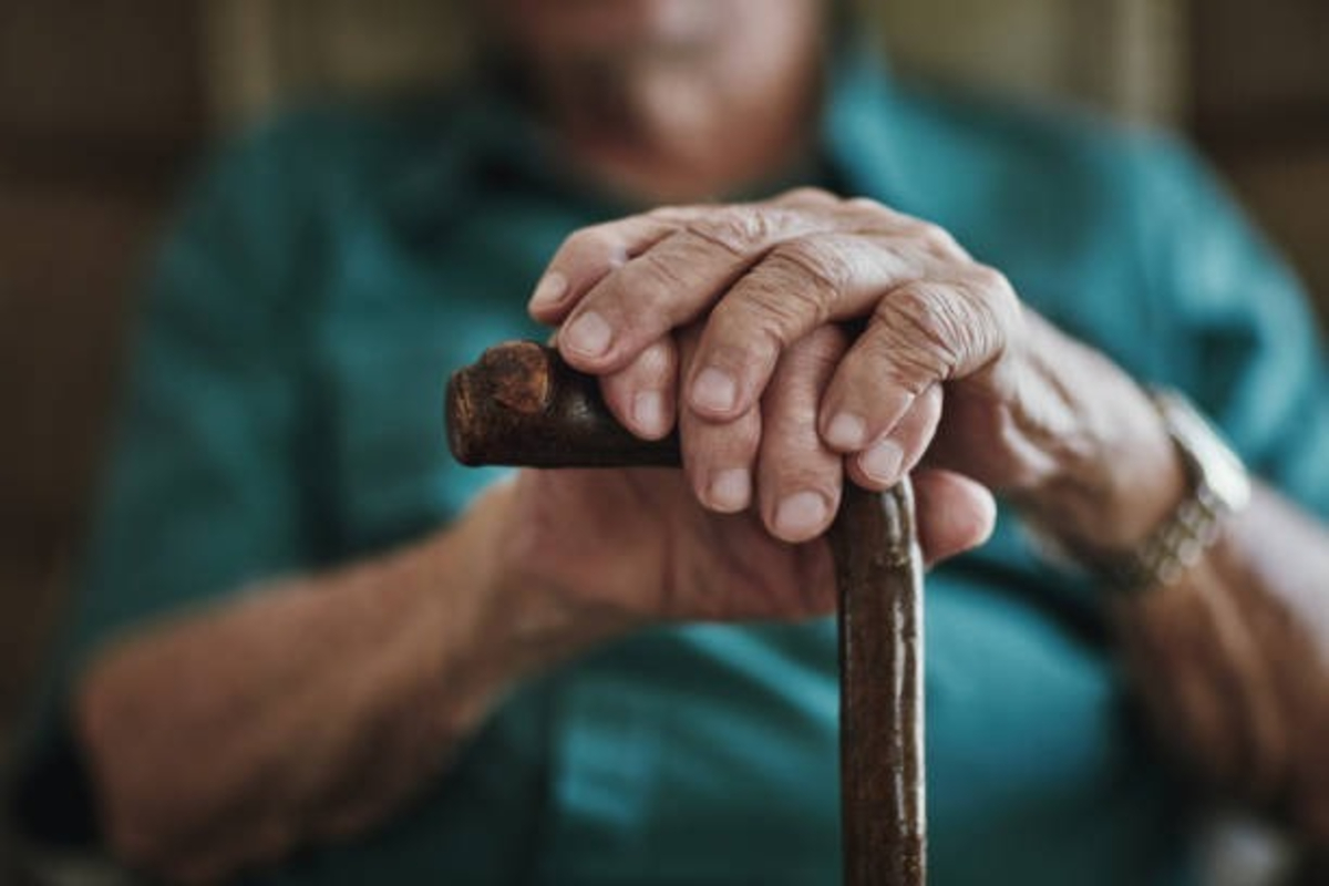 Pensioners Life Certificate Update