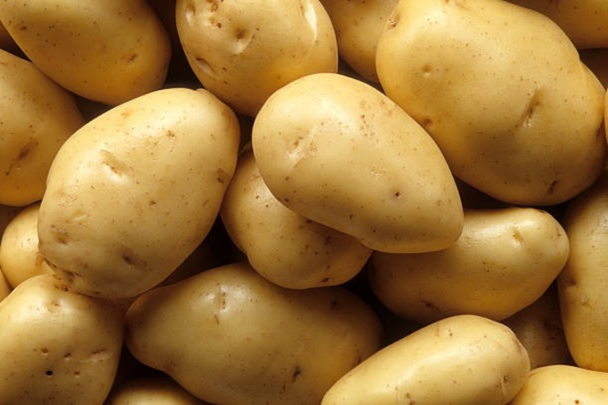 Potatoes Farming Tips