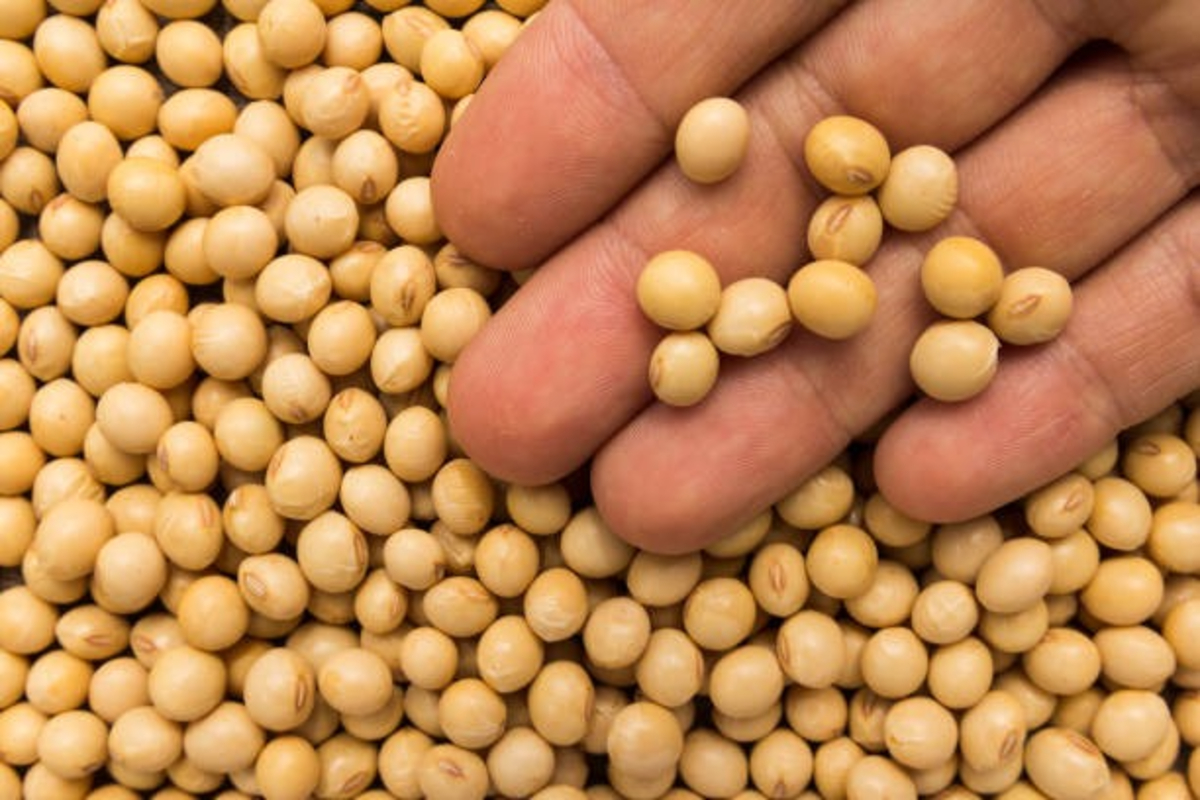 Soybean Seed Treatment