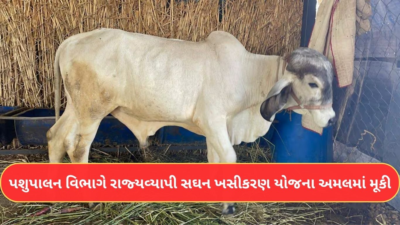 Statewide Cattle Castration Scheme