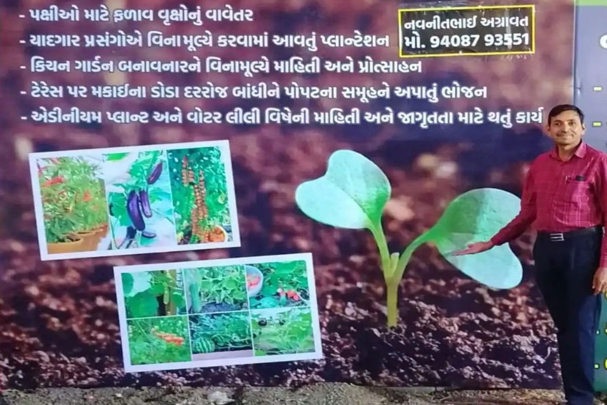 Tree Plantation Campaign Rajkot