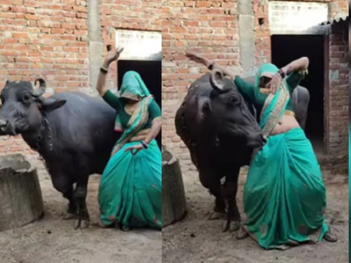 Viral Video