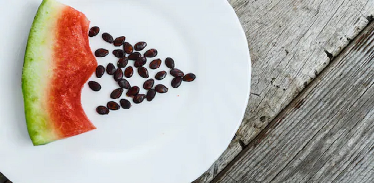 Watermelon Seeds.1 Satya Day