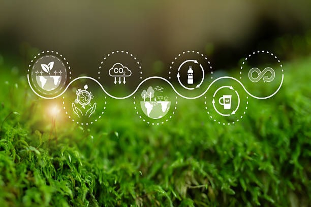 World Environment Day 2025