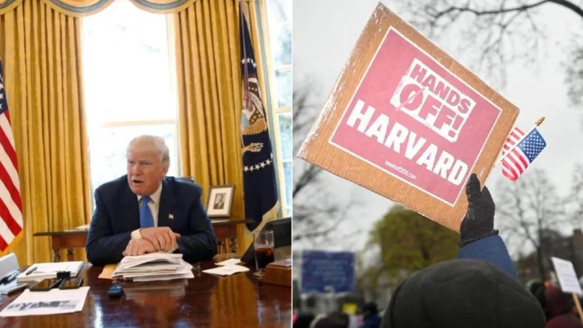 Harvard Vs Trump Court Case