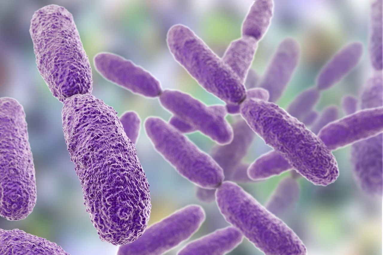 Bacteria Satya Day