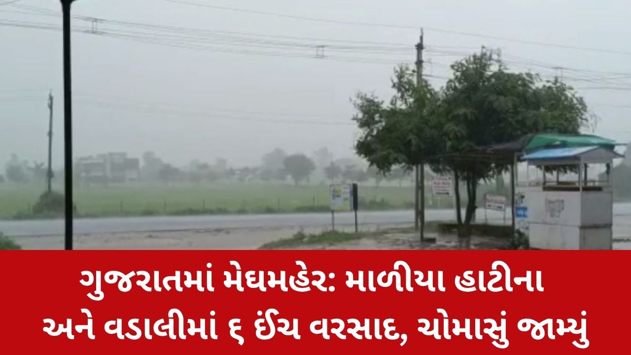 Heavy Rainfall Gujarat