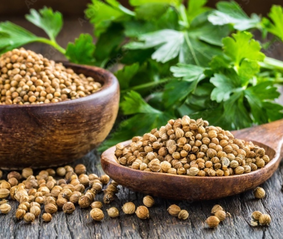 Coriander Seeds