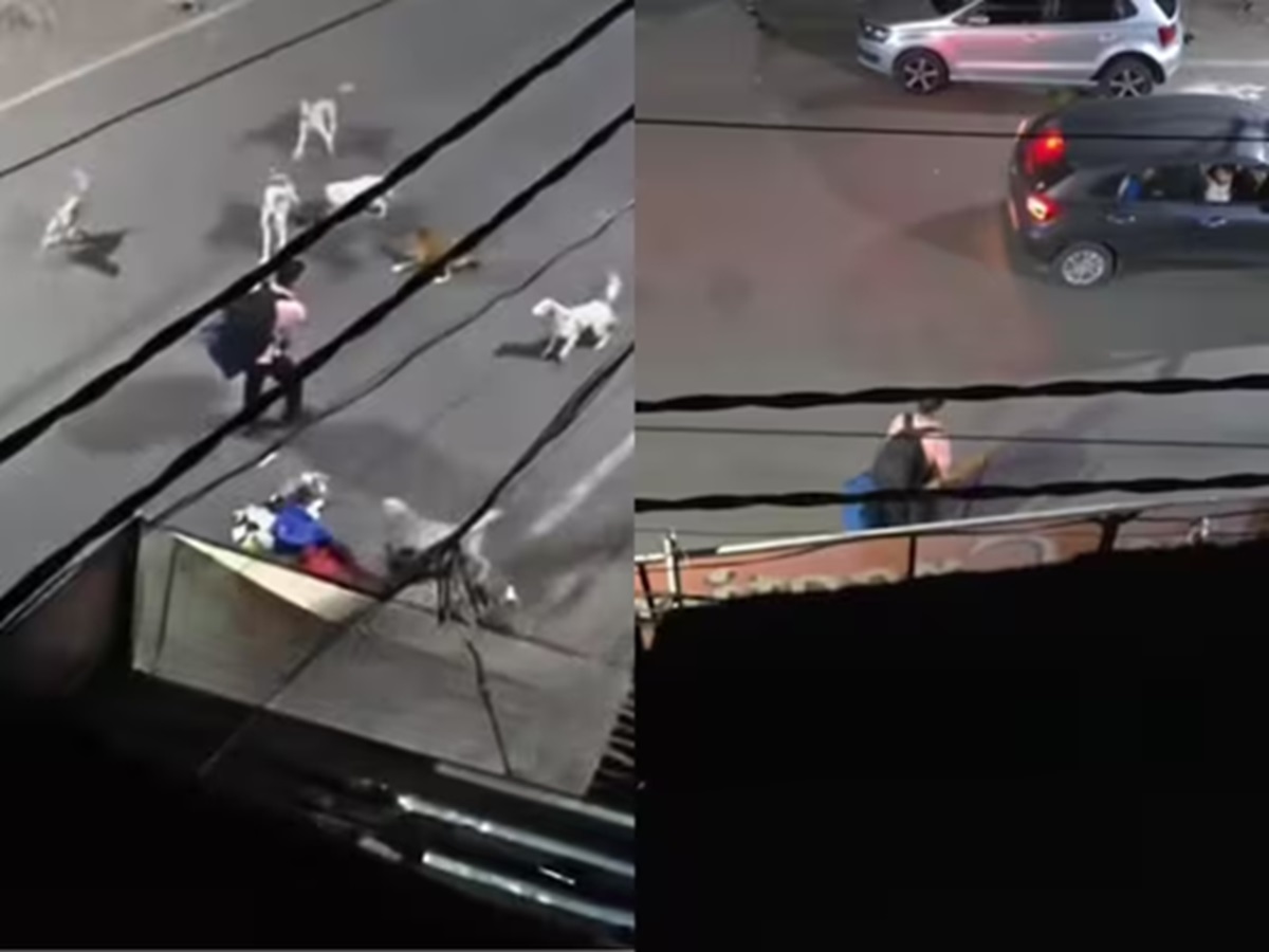 Viral Video