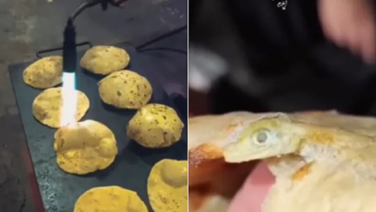 Viral Video
