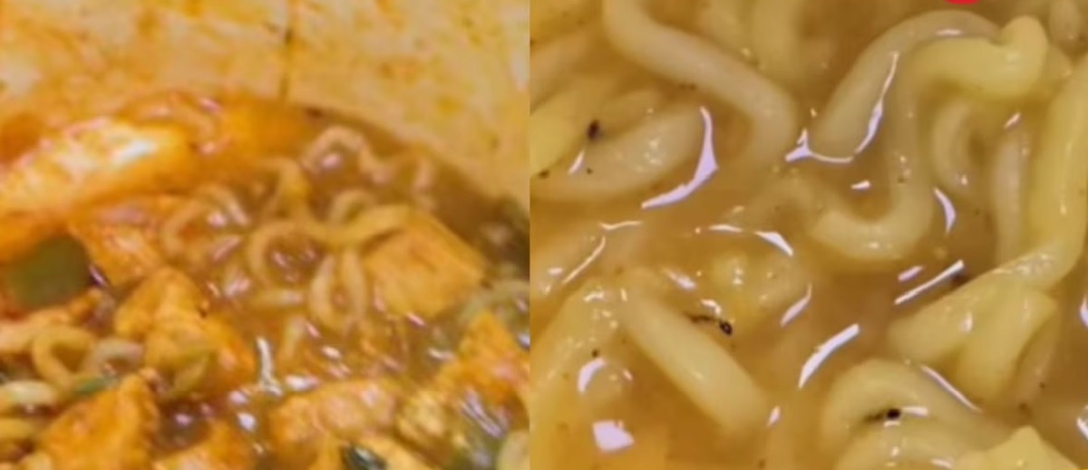 Insect Found In Maggi