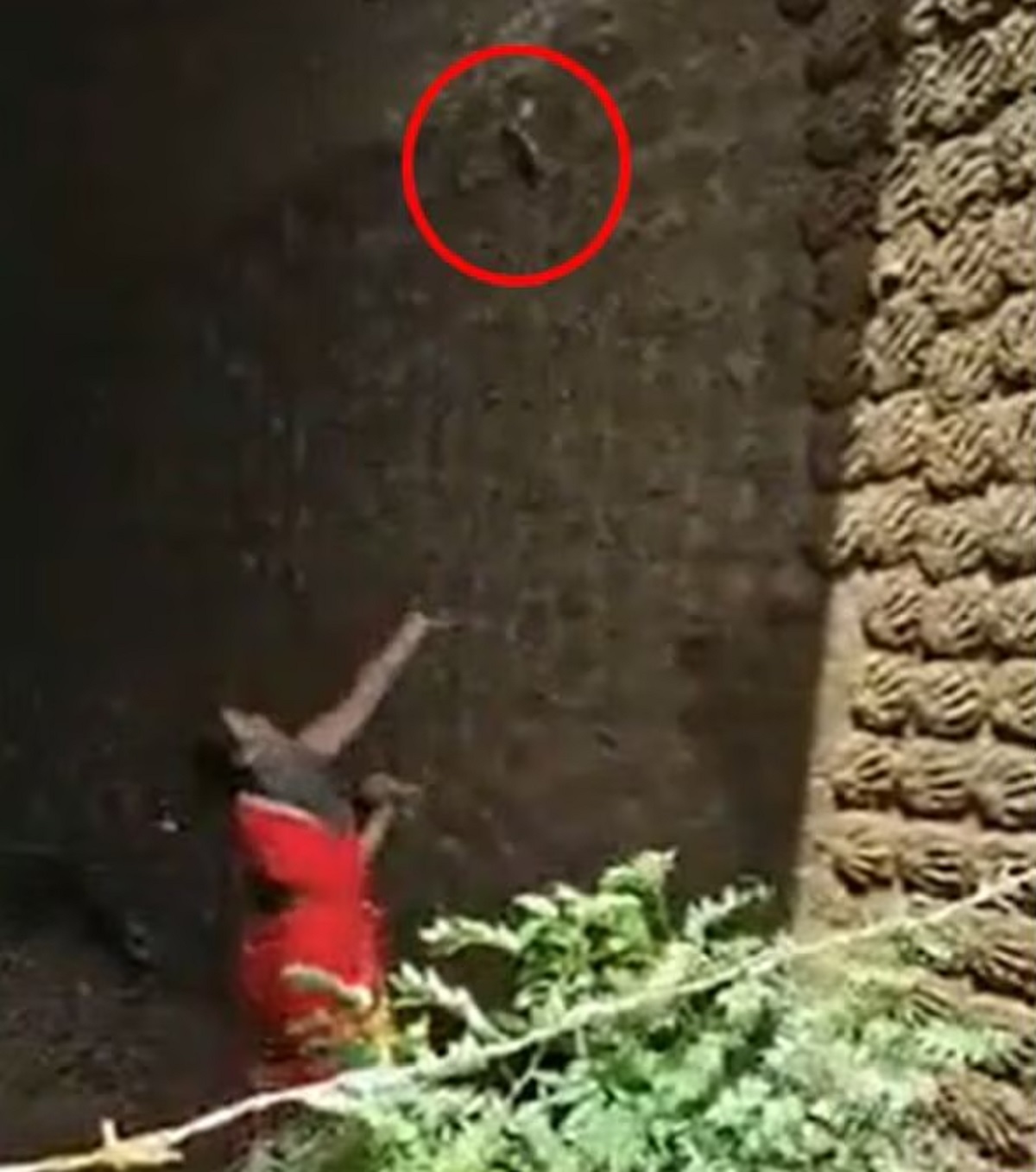 Desi Jugaad Video