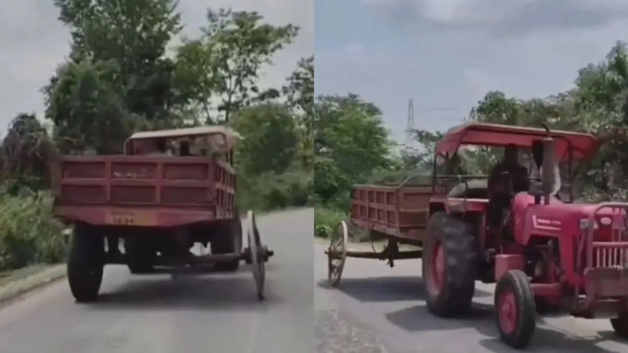 Viral Video
