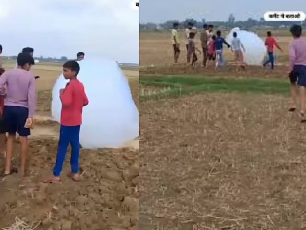 Viral Video: