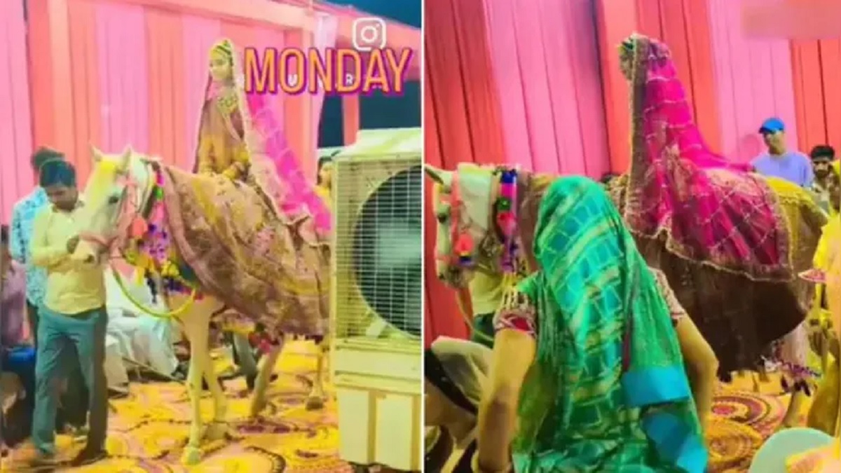 Viral Video: