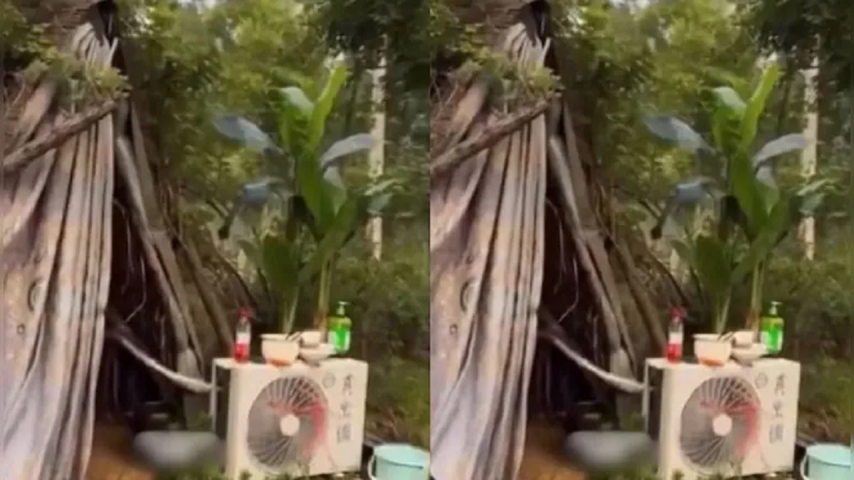 Viral Video