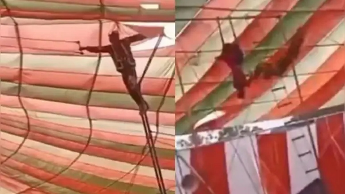 Viral Video