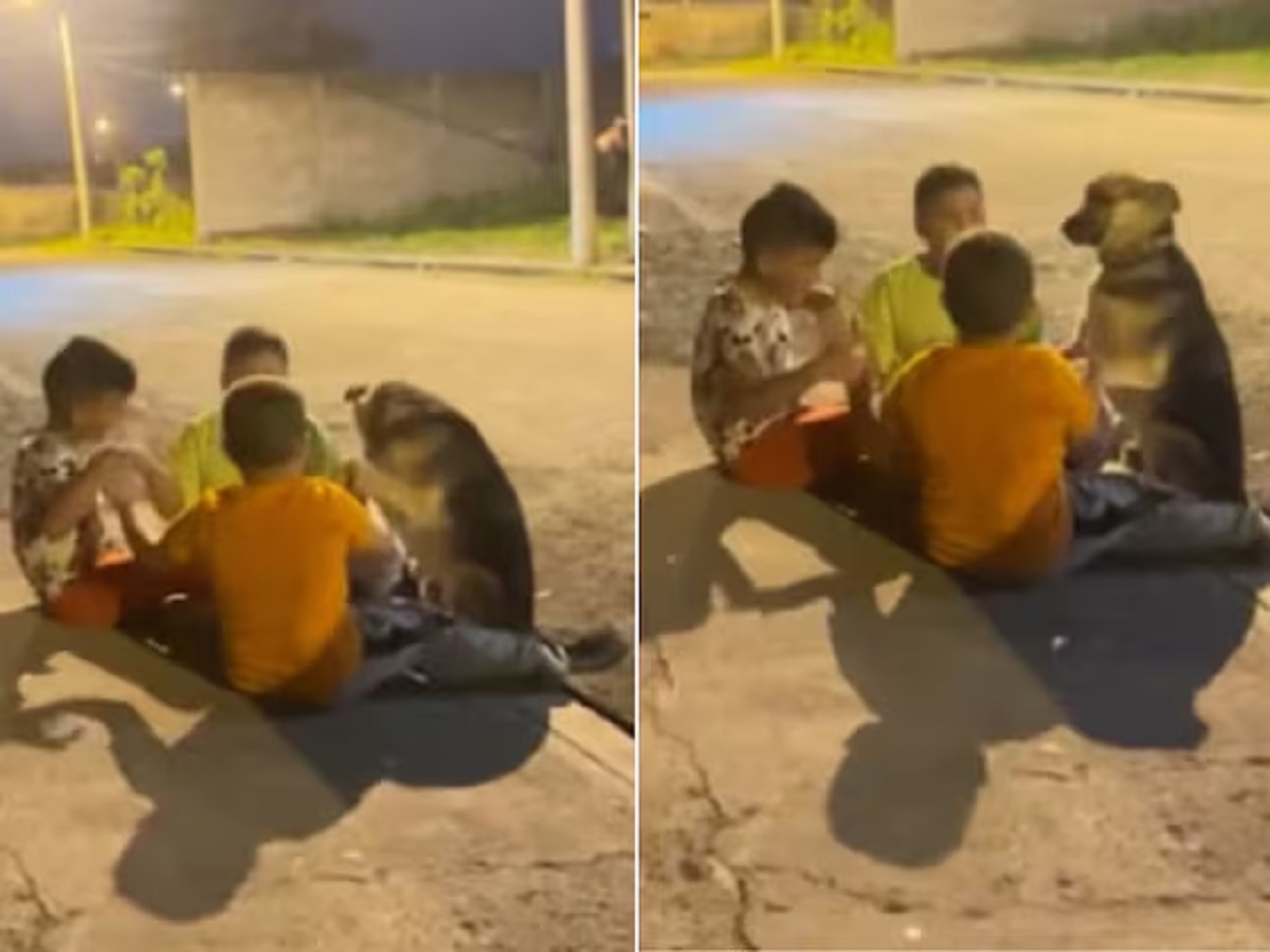 Viral Video