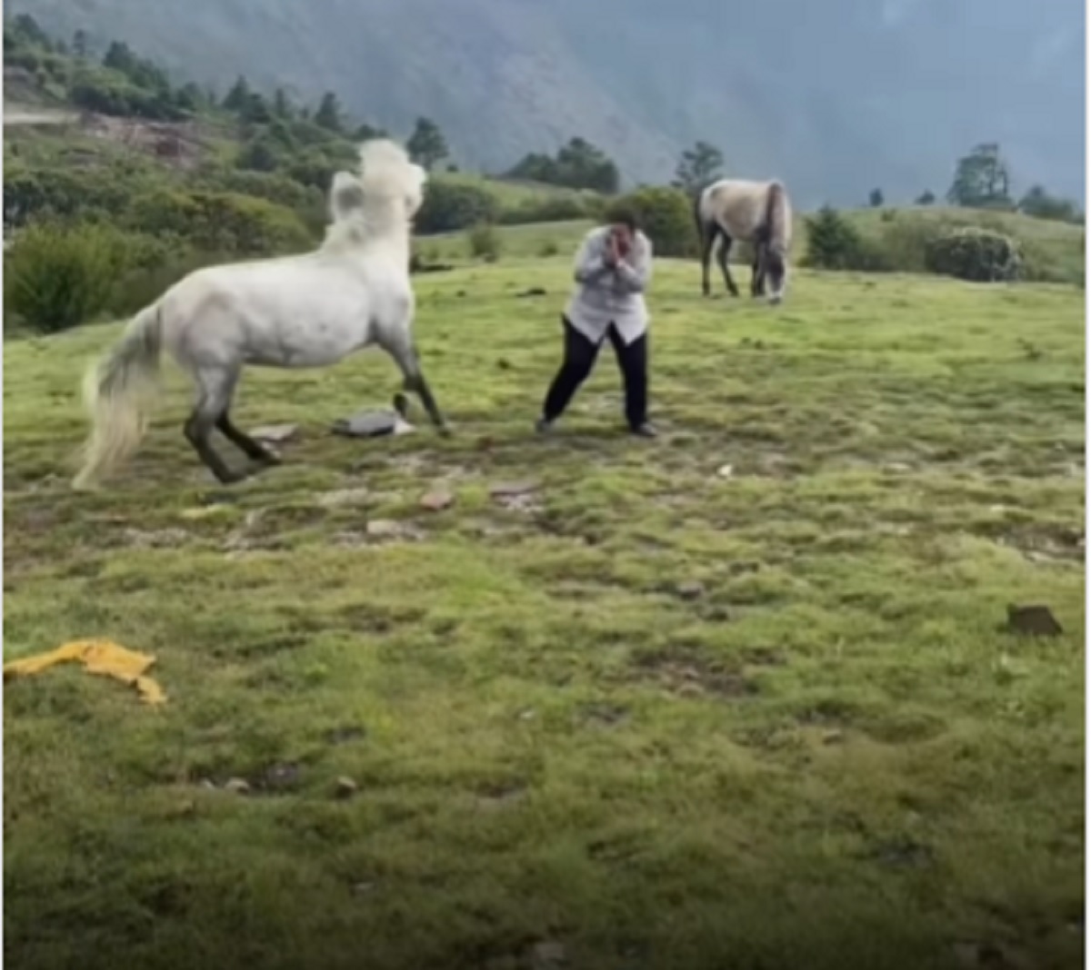 Viral Video