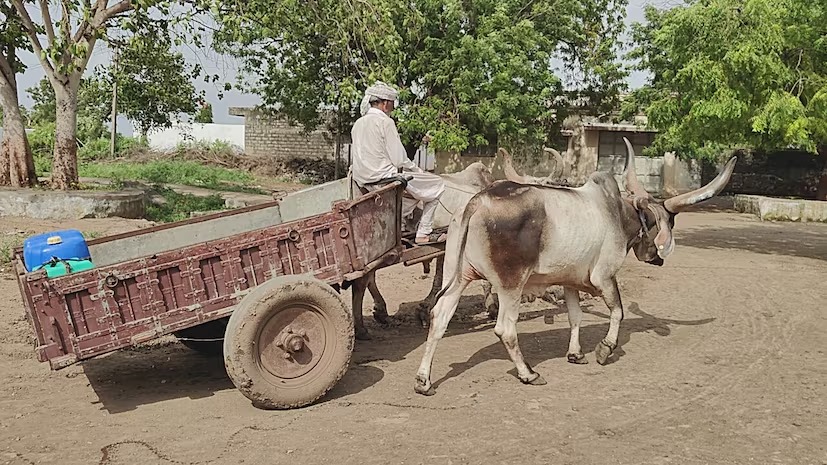 Bullock Carts To Tractors In Gujarat