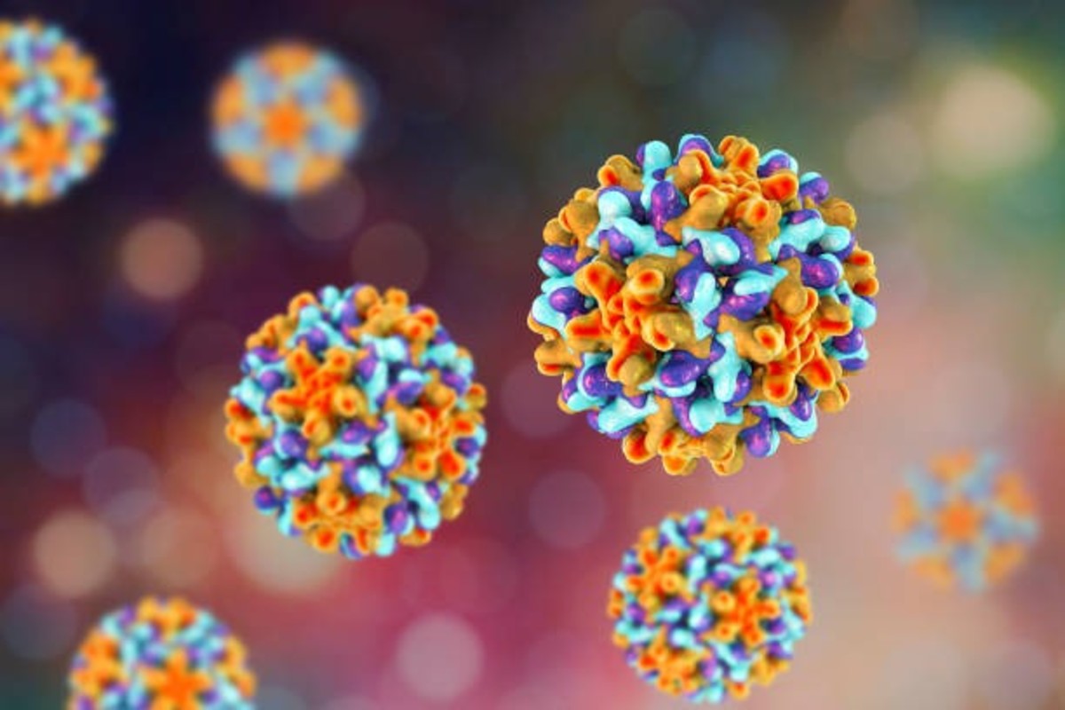 Chandipura Virus Outbreak In Kheda