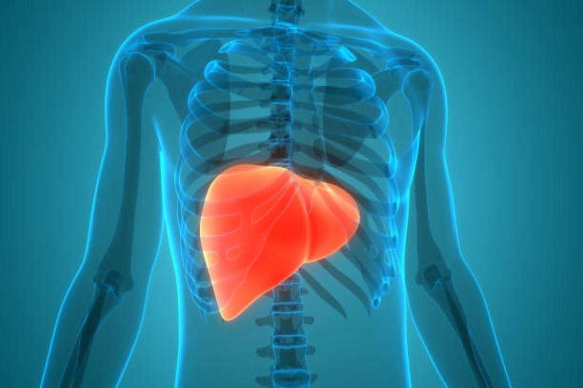 Fatty Liver Transplant Awareness In Gujarat