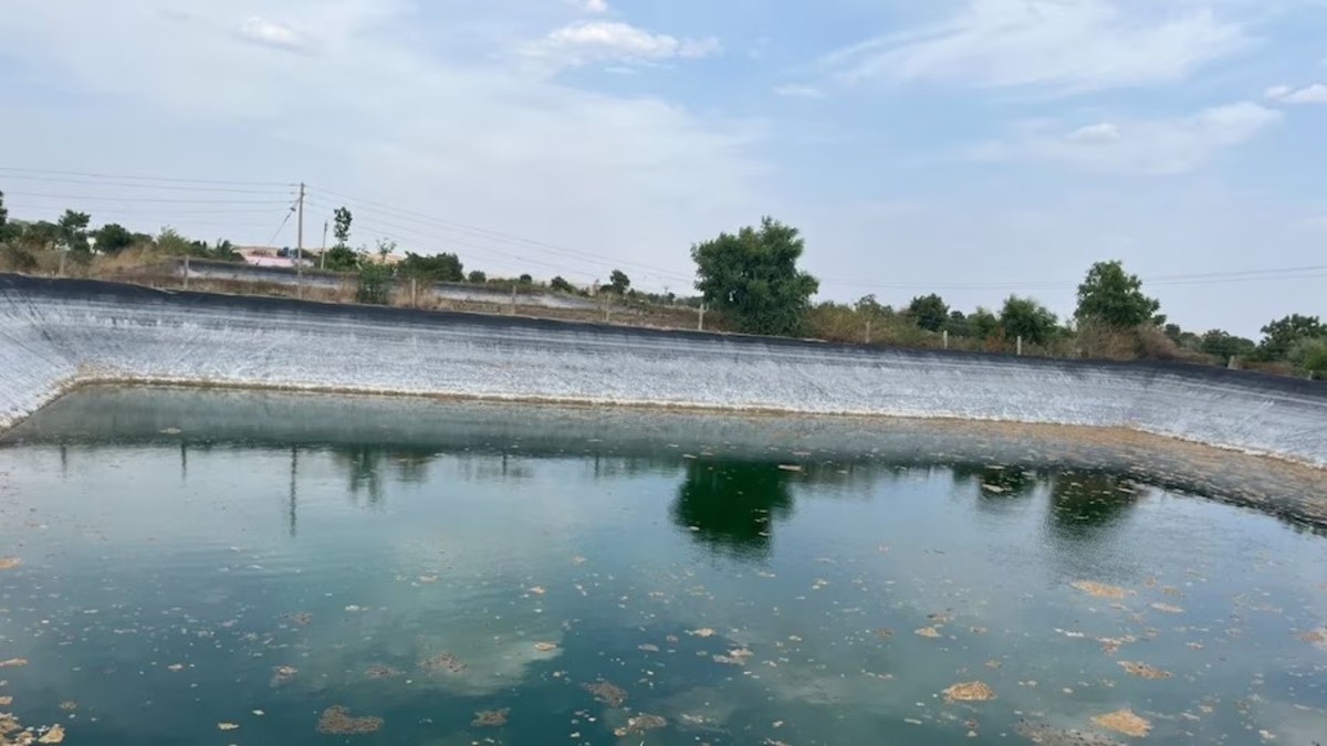 Fish Pond Water Management In Monsoon