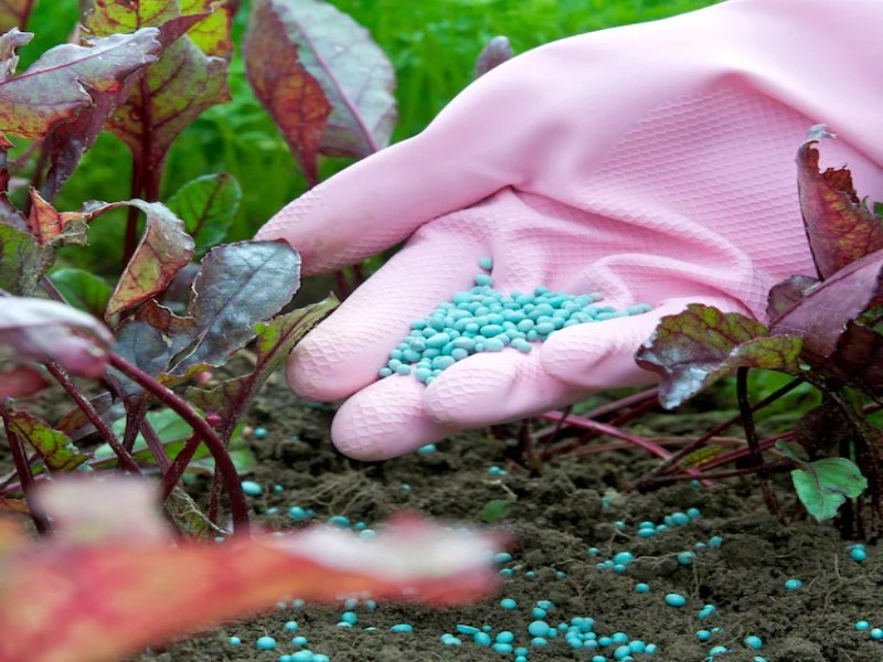How To Check Fertilizer Is Real Or Fake
