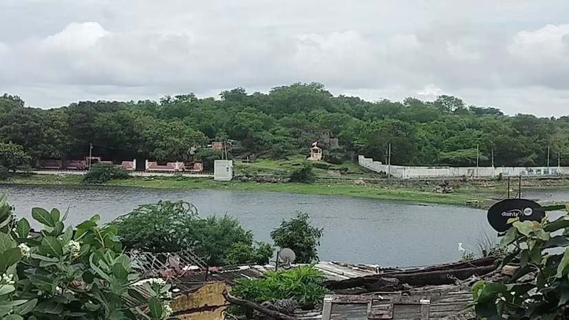 Mini Jungle In Rajkot