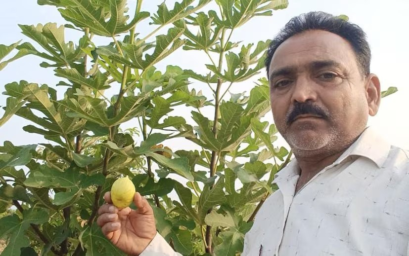 Mixed Fruit Farming Success Story