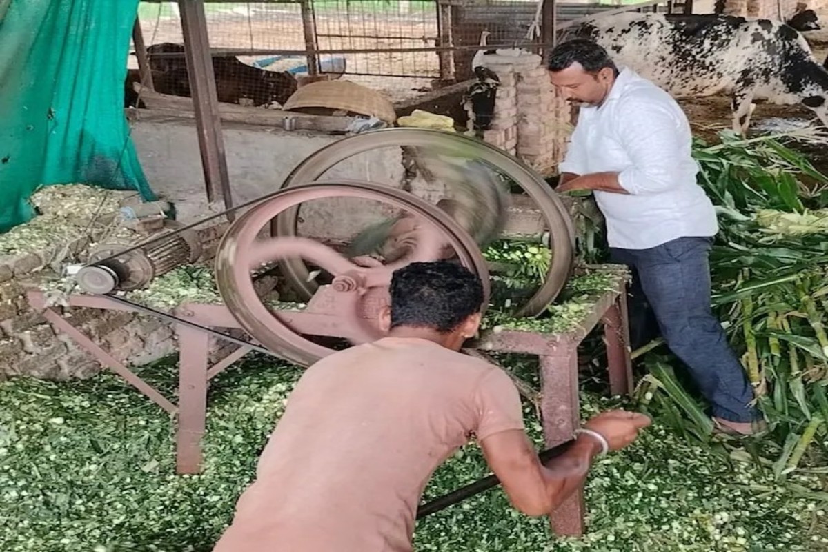 Modern Dairy Farming Success Story