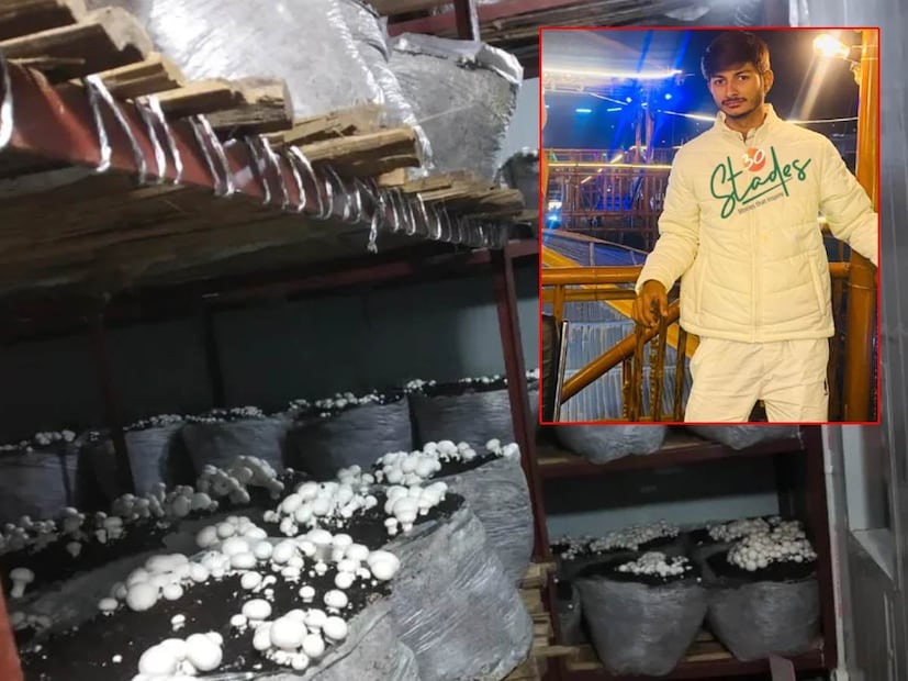 Mushroom Farming Success Story