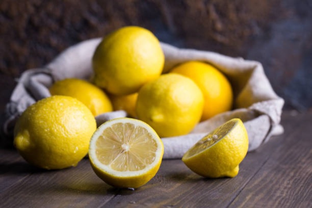 Organic Lemon Farming Success Story