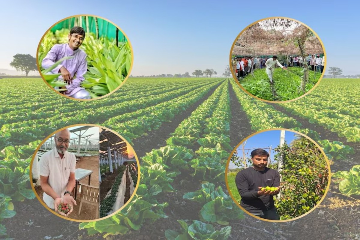 Successful Farmers Of Sagar