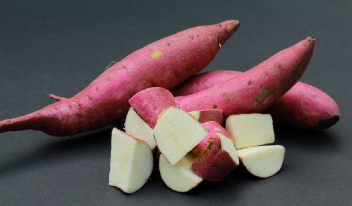 Sweet Potato Farming