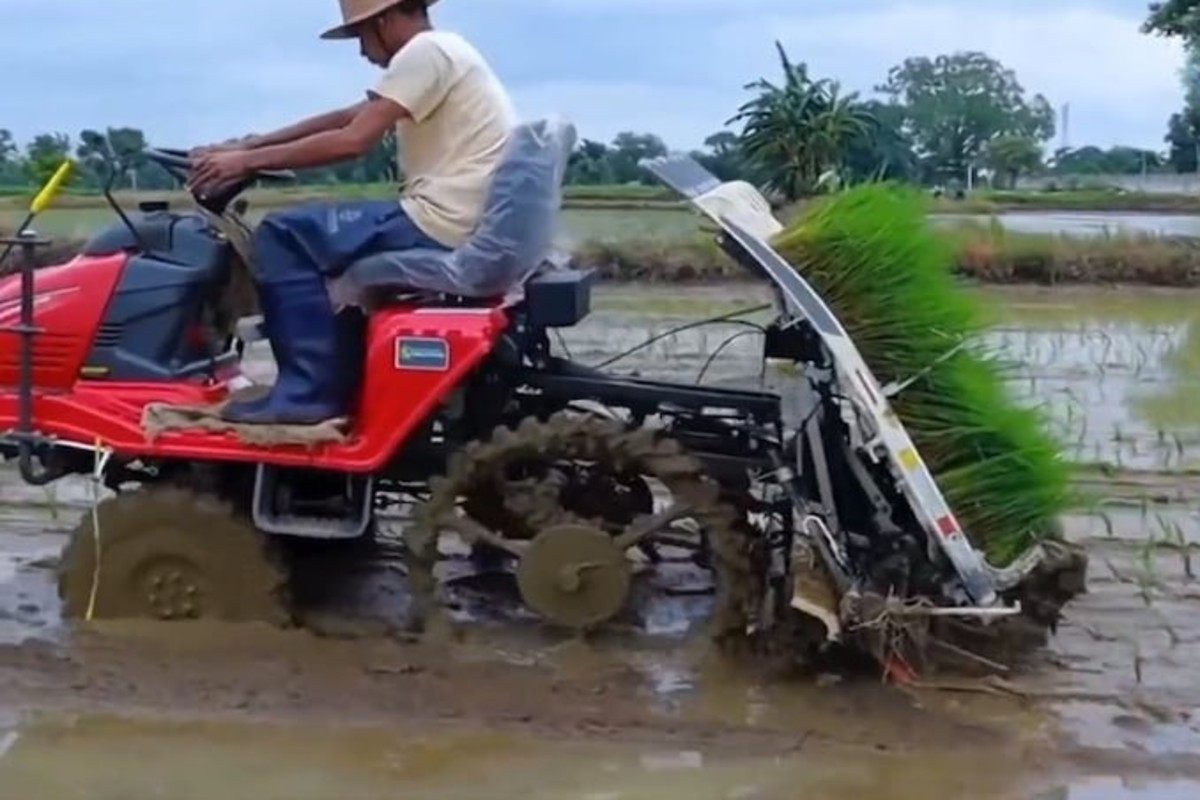 Transplanter Machine For Paddy Farming India