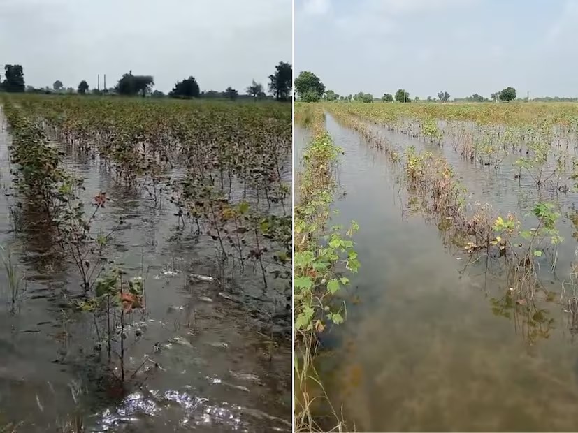 Waterlogging In Farmlands