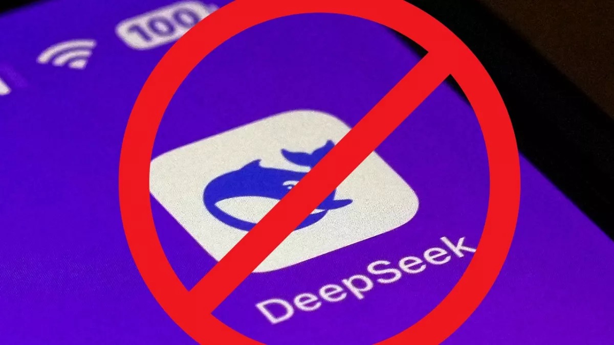 Deepseek.1 Satya Day