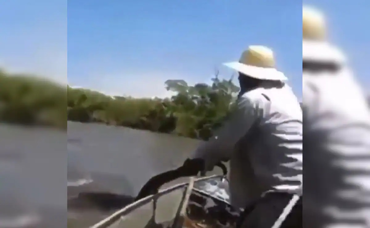 Viral Video
