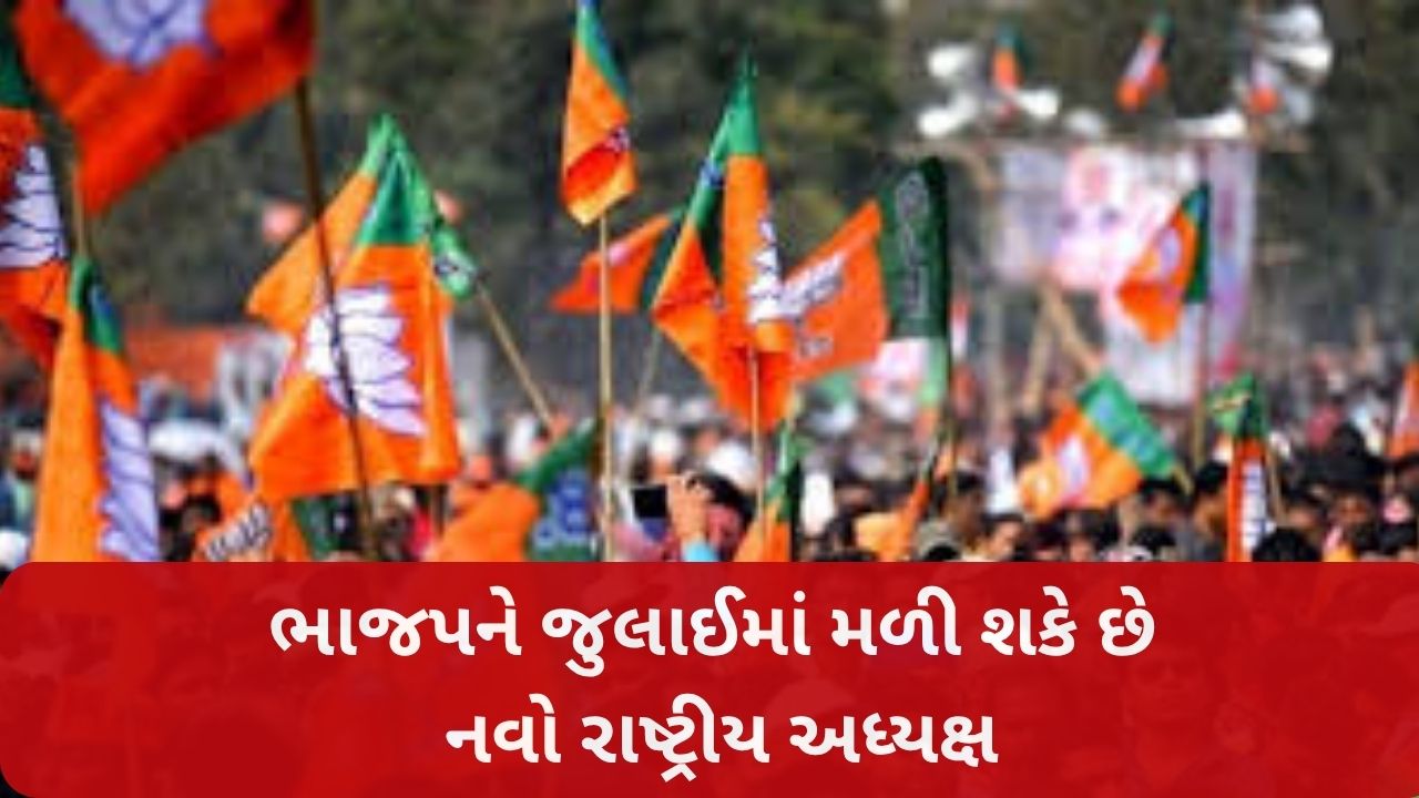 Bjp National President 2025