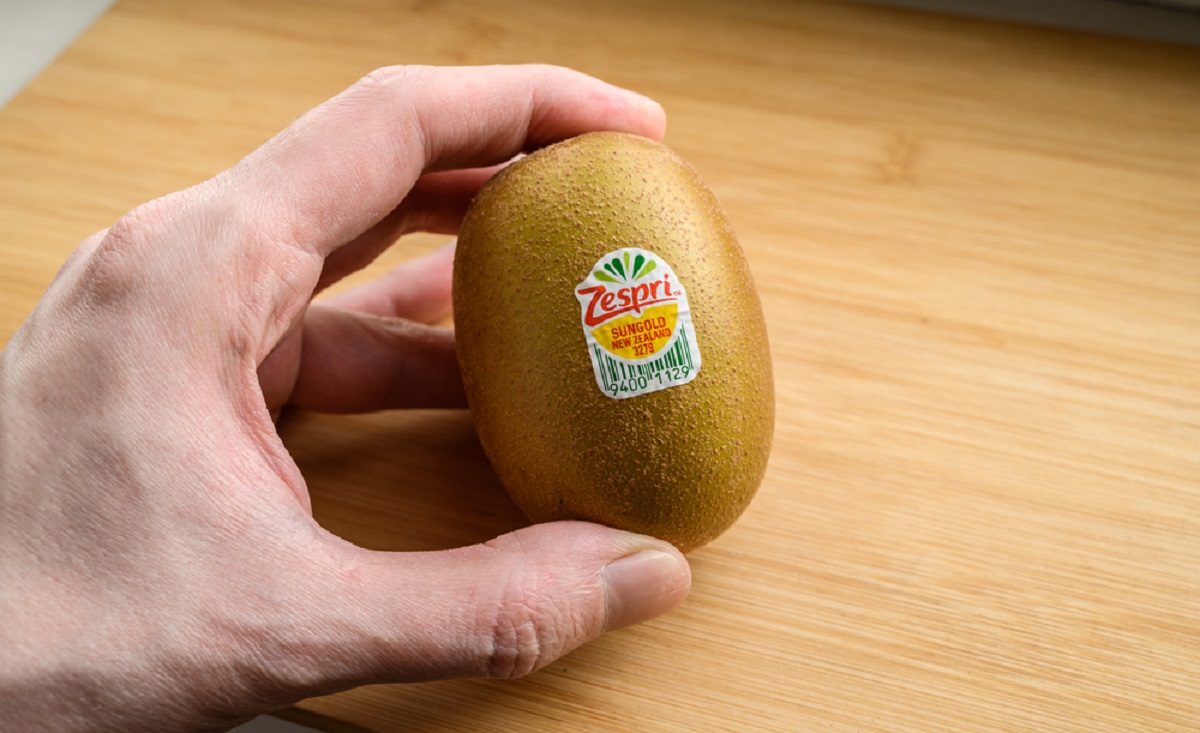 Fruit Plu Code