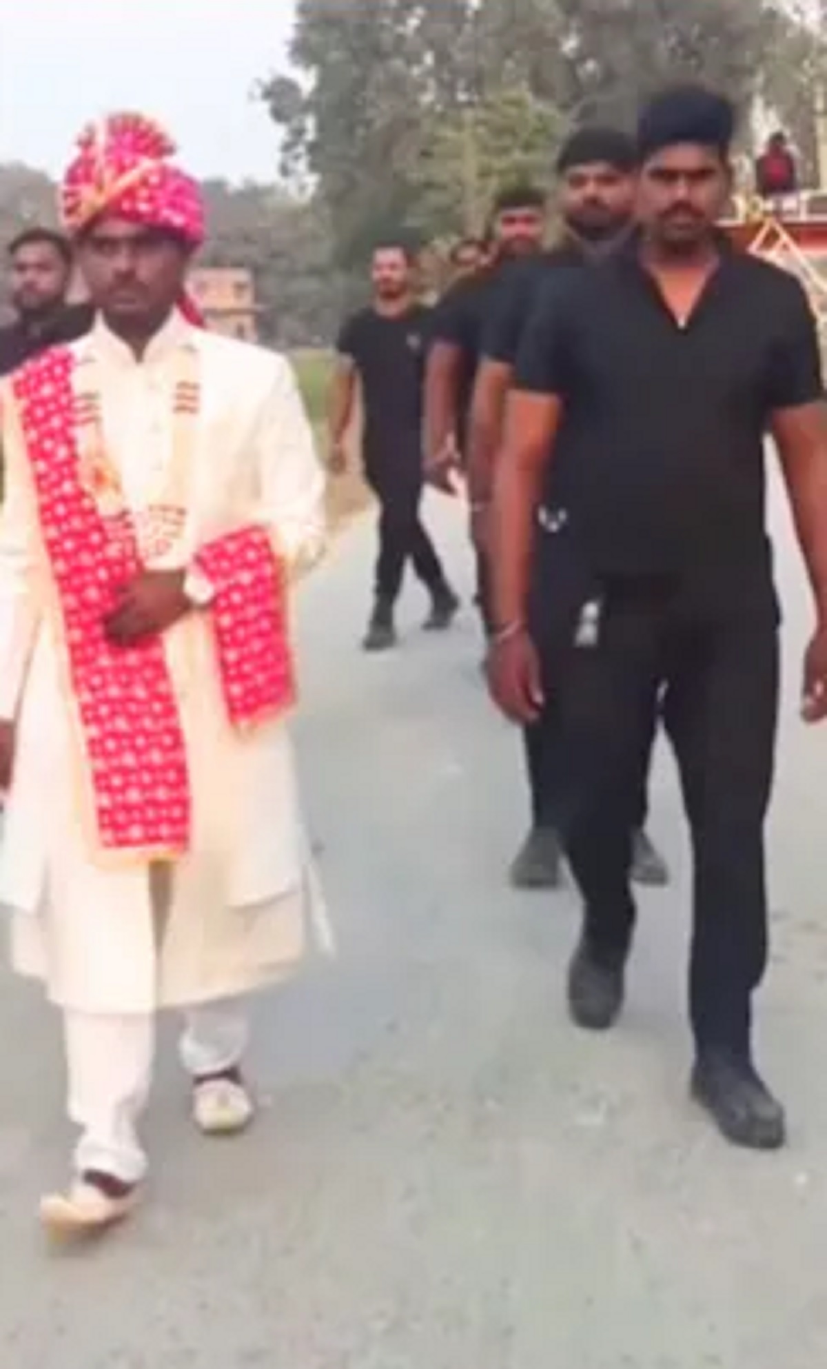 Viral Video: