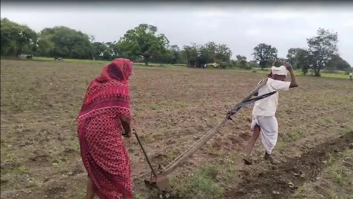 Emotional Farmer Video